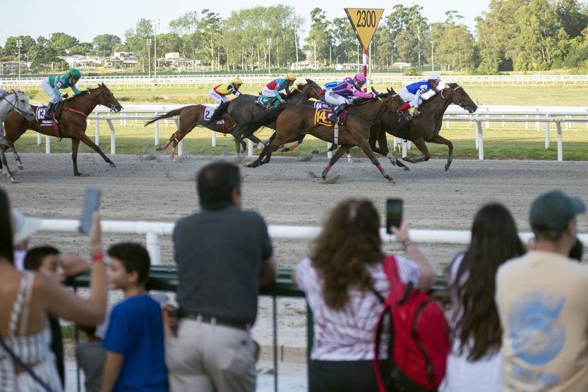 tapa suple RS148307_20230106AM_180