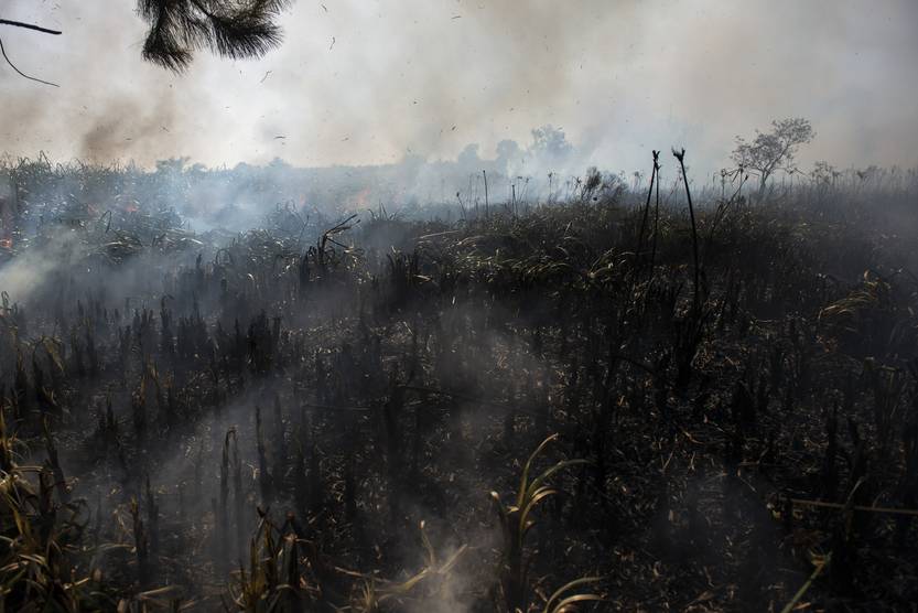 20230109 incendio pinamar