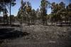 incendio RS148513__DSC3833