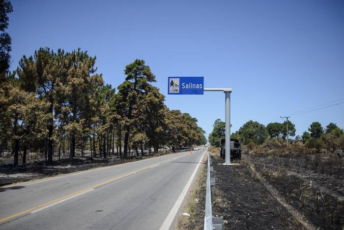Zona afectada por el incendio, el 9 de enero. · Foto: Mara Quintero