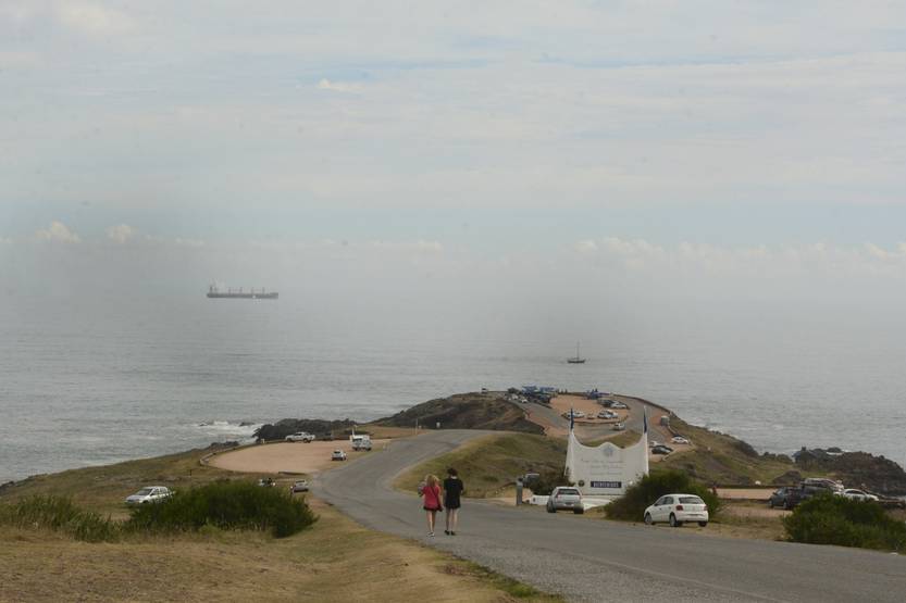 20231129 mald punta ballena