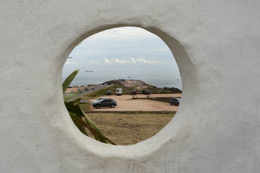 20231114  mald punta ballena