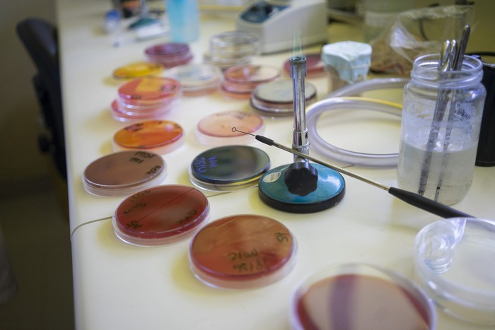 INIA La Estanzuela (archivo, diciembre de 2019). · Foto: Mariana Greif