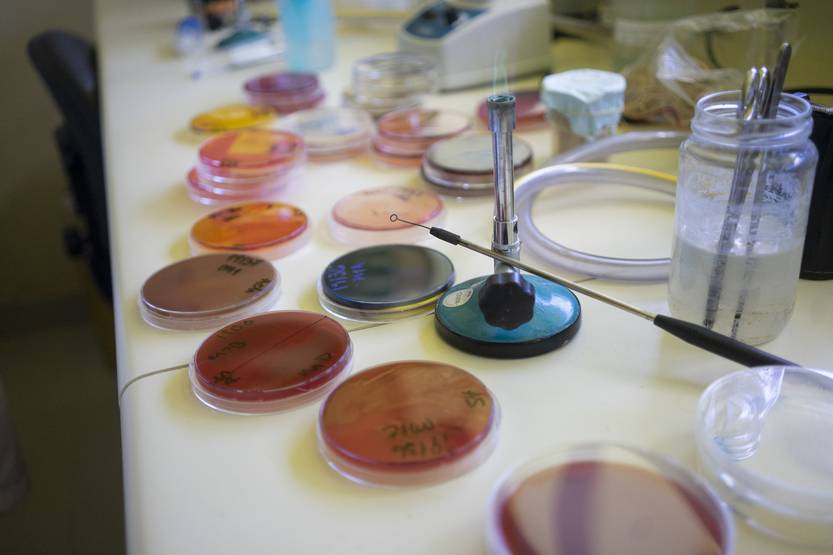 20251111 futuro invest anii