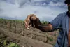 20260430 trabajador rural