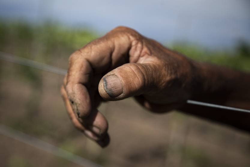 20230324 tapa situación eco