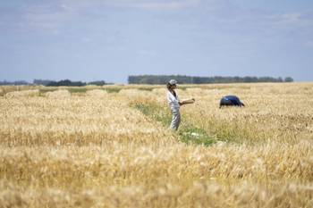 INIA La Estanzuela, Estación Experimental Dr. Alberto Boerger (archivo, diciembre de 2019). · Foto: Mariana Greif