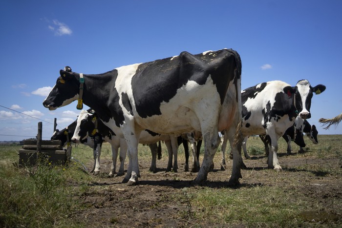 (Archivo). · Foto: Mariana Greif