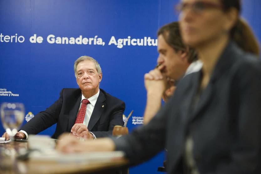 20230117 mattos