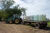 rurales RS149548_20230118ID_0003
