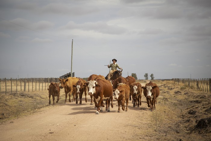 (archivo, enero de 2023) · Foto: Camilo dos Santos
