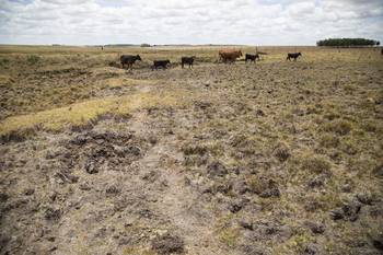 Archivo, enero de 2023. · Foto: Camilo dos Santos