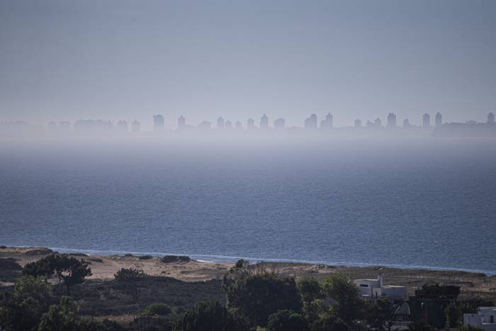 Vista de Punta del Este desde Punta Ballena (archivo, enero de 2023). · Foto: .