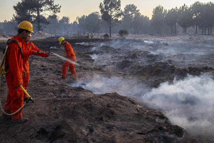Bomberos (archivo, enero de 2023). · Foto: Ernesto Ryan