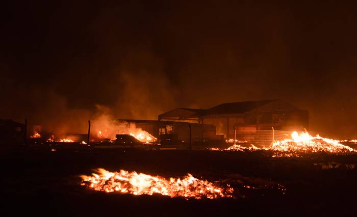 Incendio en la Floresta el 26 de enero. · Foto: Mara Quintero