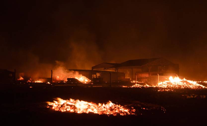 incendio RS150770_20230126mq_0309