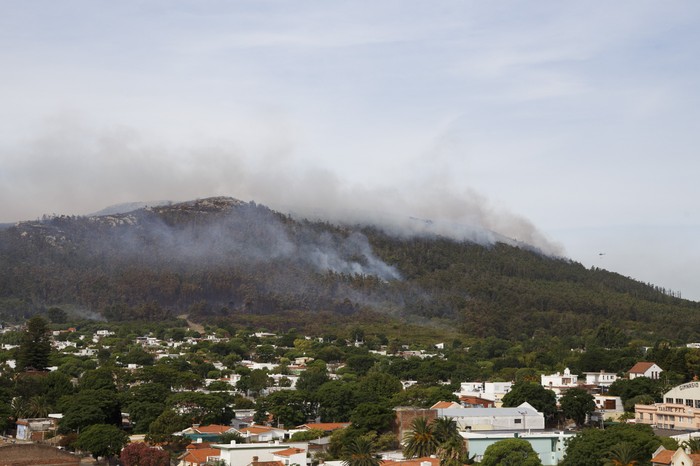 Incendio en Cerro del Toro. (archivo, enero de 2023) · Foto: Pablo Serrón