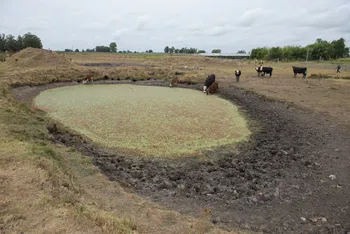 (Archivo). · Foto: Alessandro Maradei