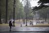 20230315 lluvia
