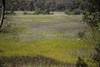 20230211 humedales ruta 1