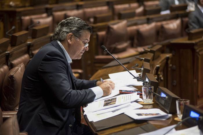 Pedro Bordaberry, durante una sesión de la Cámara de Senadores, en el Palacio Legislativo (archivo, febrero de 2019). · Foto: Federico Gutiérrez