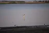 20260518 amb laguna del cisne