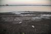 20230704 agua laguna del cisne