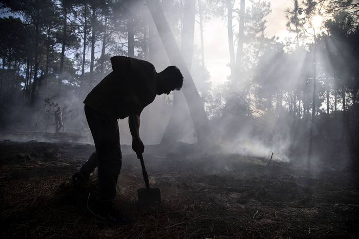 Foto principal del artículo 'Red Ambiental reclama “medidas urgentes” tras nueve días de humo tóxico por incendio en basural de Piriápolis' · Foto: Camilo dos Santos