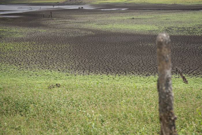 Sequía,  zona de Paso Severino, en Florida (archivo, marzo de 2023). · Foto: Alessandro Maradei