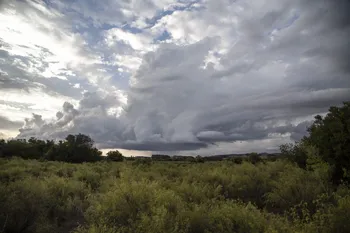 Cerro Arequita, Lavalleja (archivo, 2023) · Foto: Camilo dos Santos