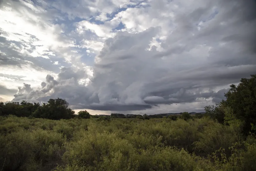 20260310 AMB emergencia agropecuaria