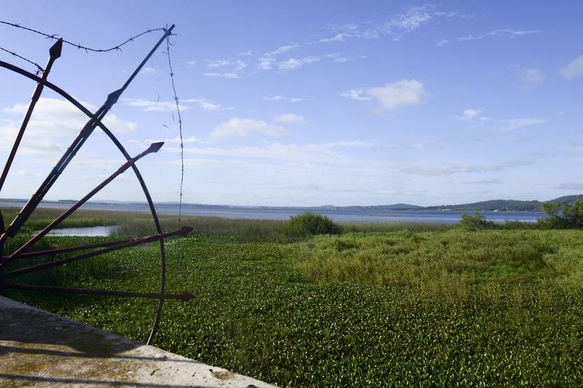 20260113 laguna del sauce