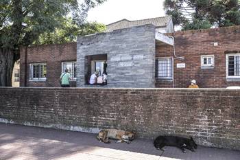 Archivo, 2023. · Foto: Natalia Ayala