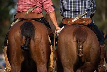 Archivo, abril de 2023. · Foto: Mara Quintero