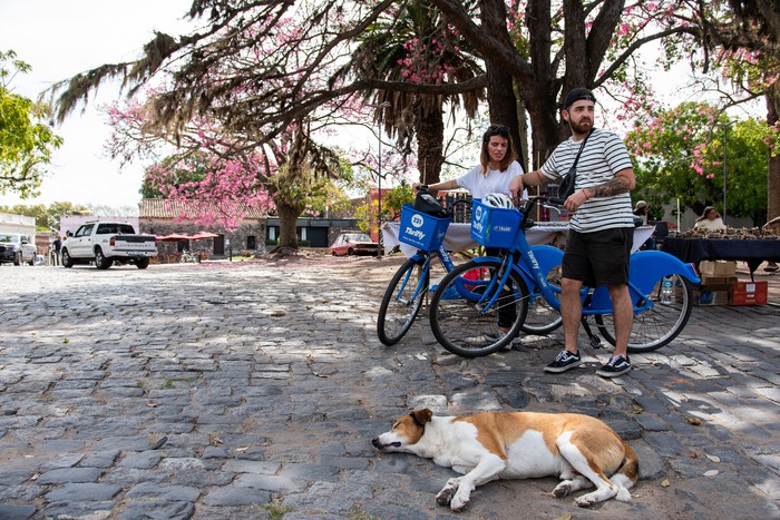 Plaza Mayor en el barrio histórico de Colonia del Sacramento (archivo, 2023). · Foto: Ignacio Dotti