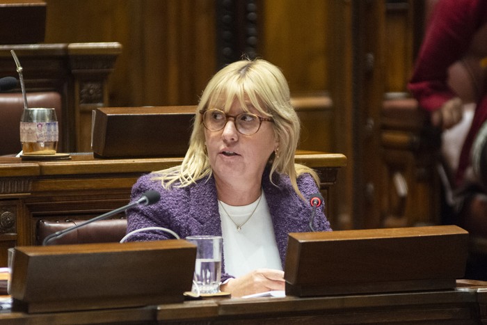 Cristina Lustemberg en la Cámara de Senadores del Palacio Legislativo (archivo, 2023). · Foto: Alessandro Maradei