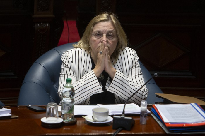 Graciela Bianchi, durante una sesión de la Cámara de Senadores (archivo, 2023). · Foto: Ernesto Ryan