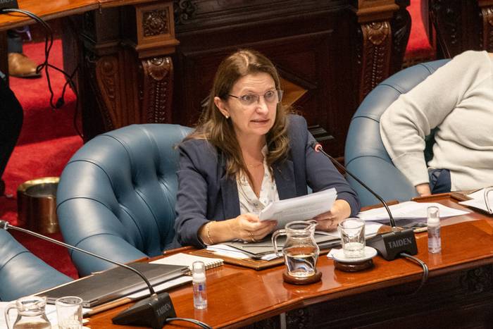 Karina Rando, el 17 de mayo, durante la interpelación en la Cámara de Senadores del Palacio Legislativo. · Foto: Martín Varela Umpiérrez