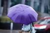 20250226 lluvia