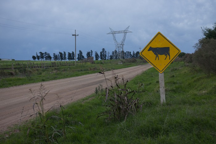 Foto: Alessandro Maradei (archivo).