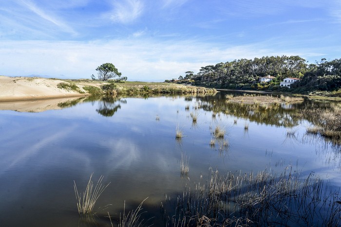 Arroyo Tarariras. (Archivo, mayo de 2023) · Foto: Natalia Ayala