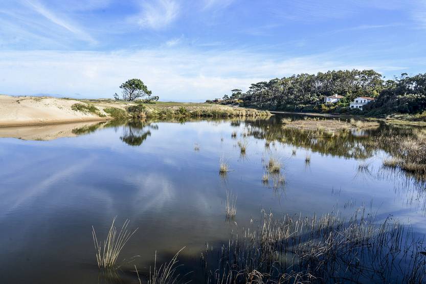 20251226 maldo tarariras