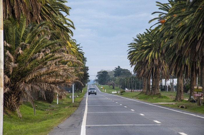 Ruta 1, en Colonia Valdense (archivo, junio de 2023). · Foto: Ignacio Dotti