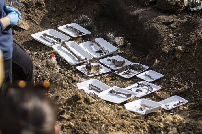 Restos óseos hallados en el Batallón 14, en Toledo (archivo, junio de 2023). · Foto: .