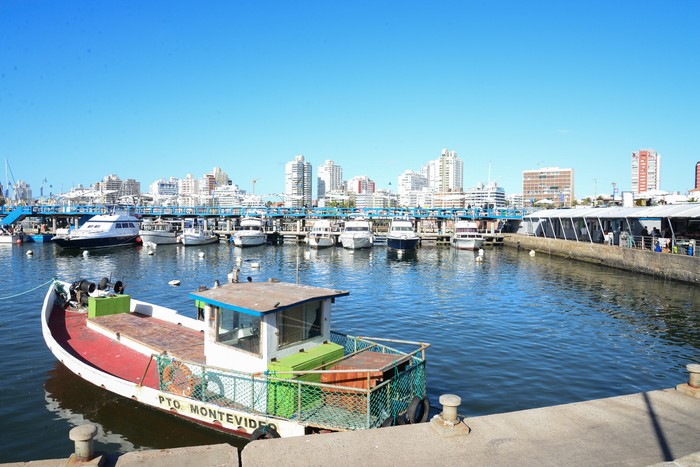 Puerto de Punta del Este (archivo, 2023). · Foto: Natalia Ayala