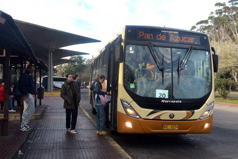 20221108 maldonado