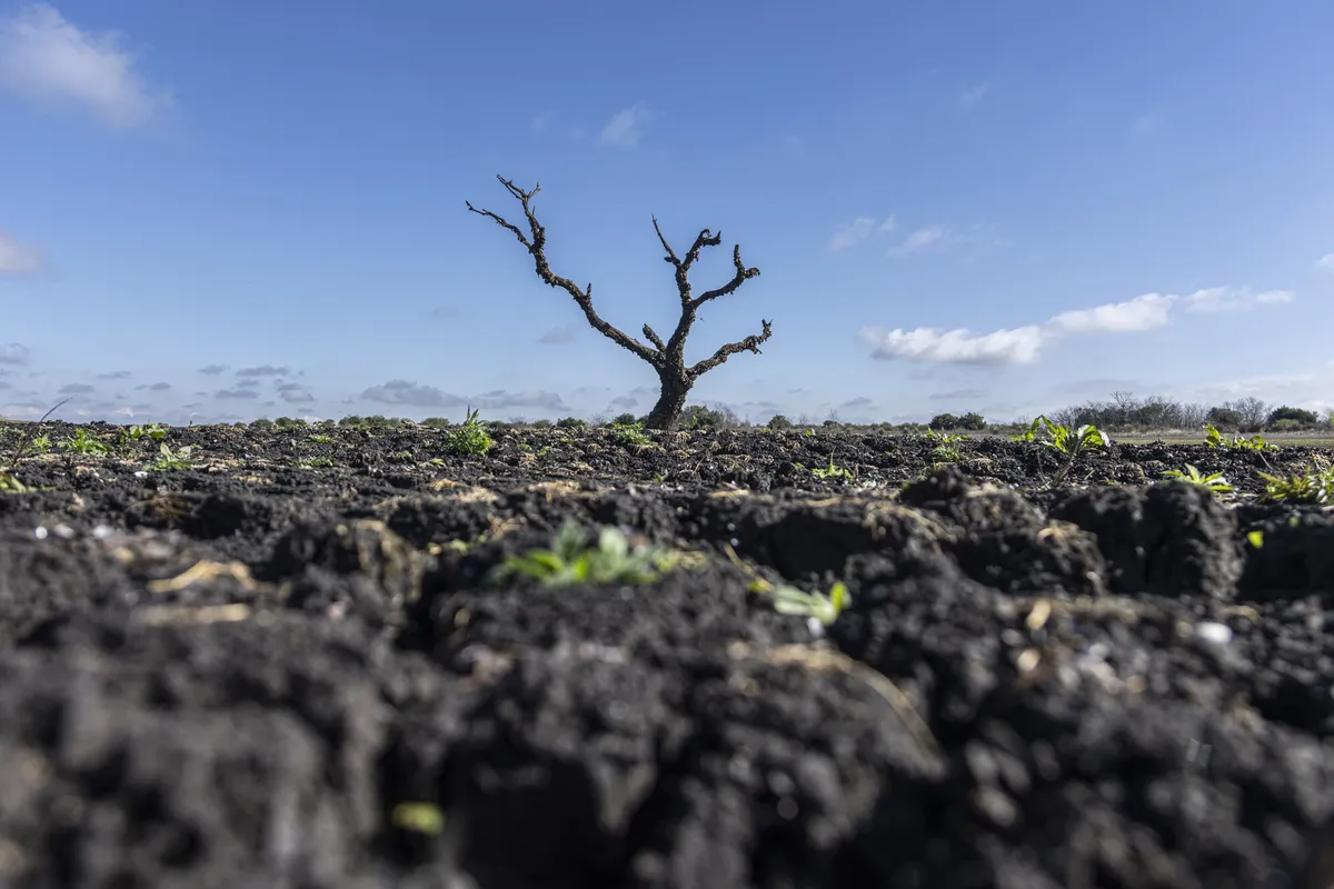 Mesa de Desarrollo Rural en Rivera analiza efectos climáticos y exige soluciones urgentes