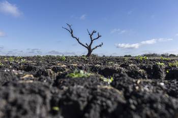 Represa de Paso Severino (archivo, julio de 2023). · Foto: Ernesto Ryan