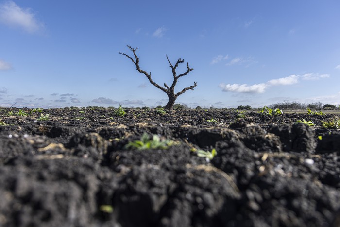 Represa de Paso Severino (archivo, julio de 2023). · Foto: Ernesto Ryan