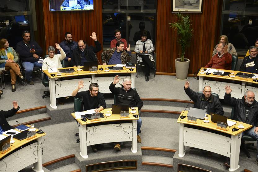 20231115  maldonado